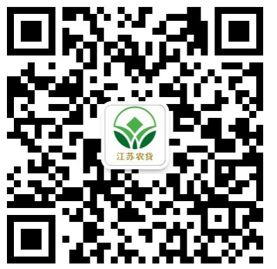 常州市金坛区信安农村小额贷款有限公司